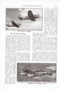 MM November 1944 Page 0363